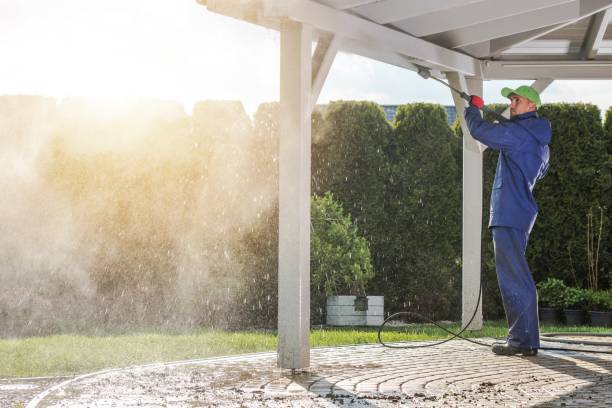 Best Pool Deck Cleaning  in Halls, TN