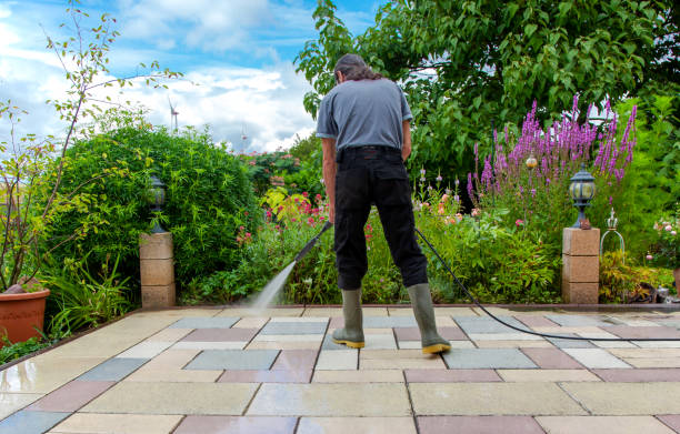 Best Fence Cleaning  in Halls, TN