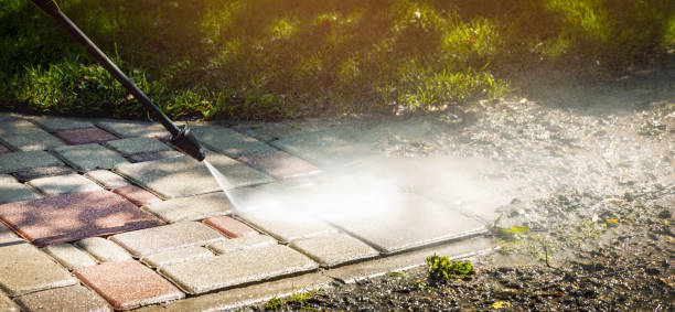 Best Graffiti Removal  in Halls, TN